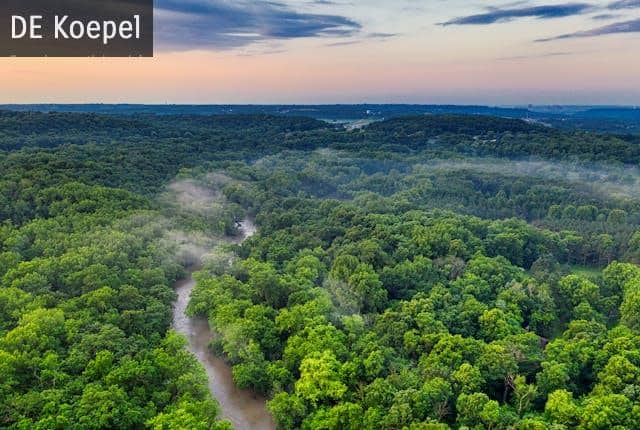 La selva amazónica