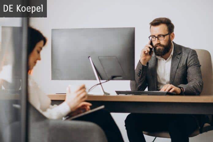 que es un consultor sap